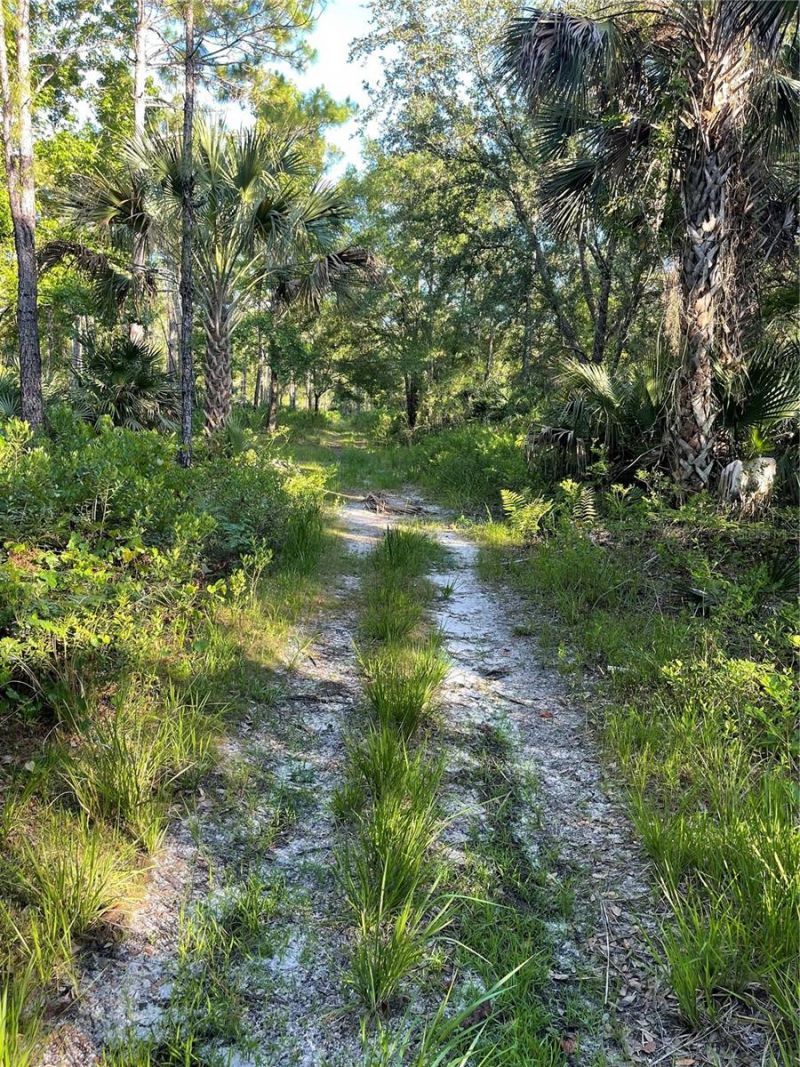 Harrison Road , Mims, FL 32754 Photo
