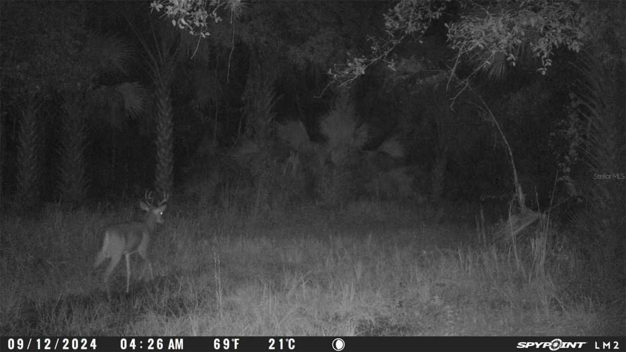 Harrison Road , Mims, FL 32754 Photo