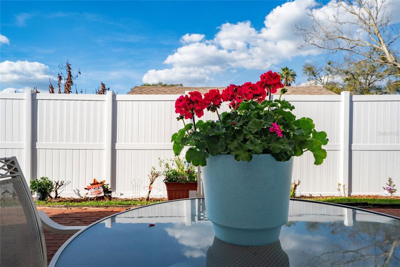 9915 Kona Isle Court , Orlando, FL 32817 Photo