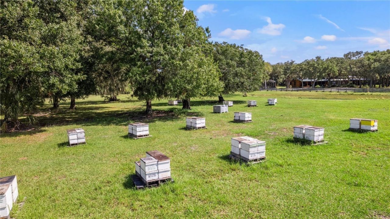 7000 Us-19 , Terra Ceia, FL 34250 Photo