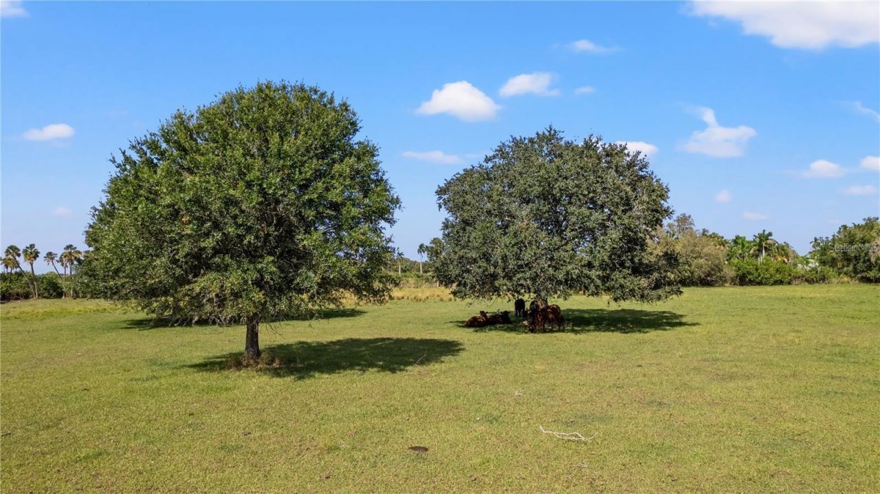 7000 Us-19 , Terra Ceia, FL 34250 Photo