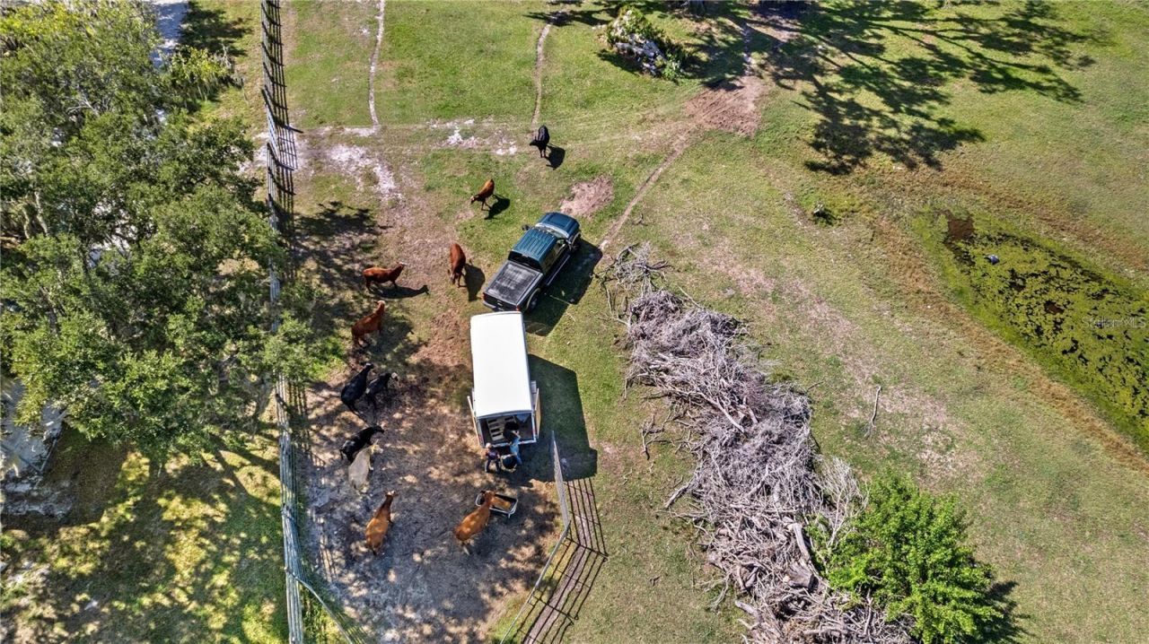 7000 Us-19 , Terra Ceia, FL 34250 Photo