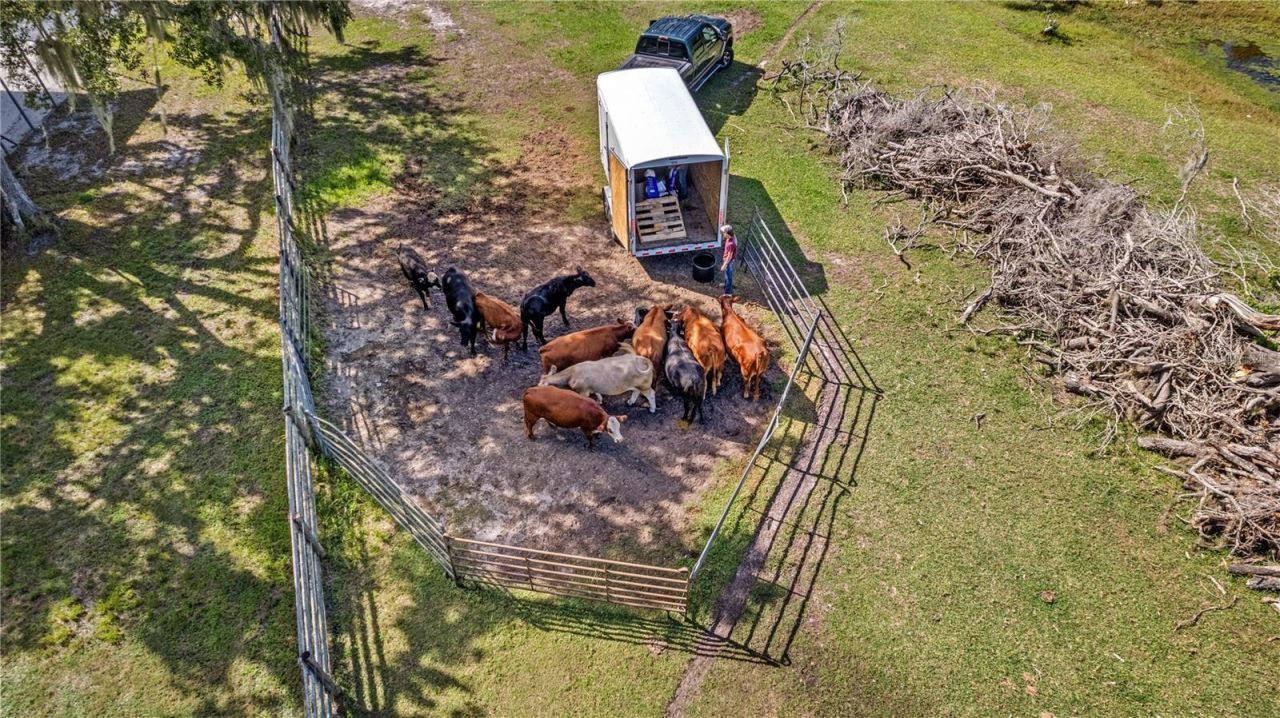 7000 Us-19 , Terra Ceia, FL 34250 Photo