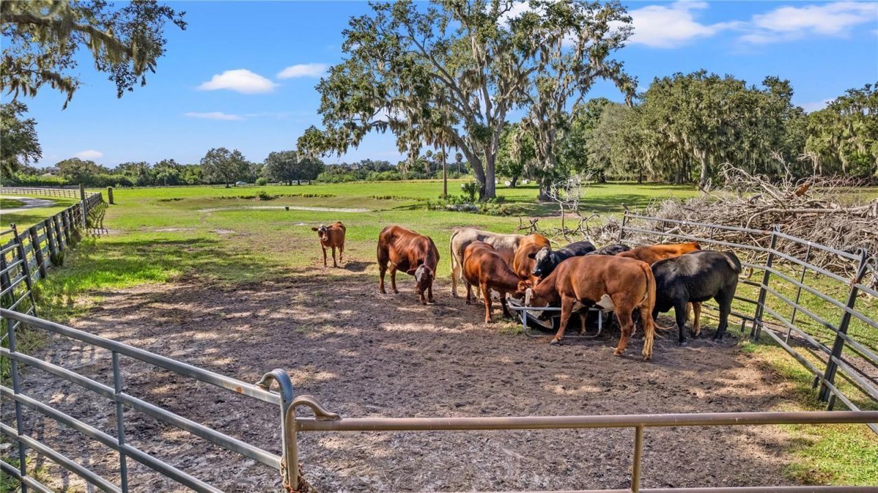 7000 Us-19 , Terra Ceia, FL 34250 Photo