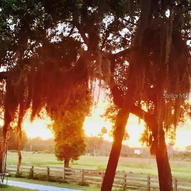 7000 Us-19 , Terra Ceia, FL 34250 Photo