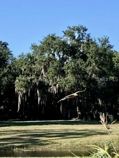 7000 Us-19 , Terra Ceia, FL 34250 Photo