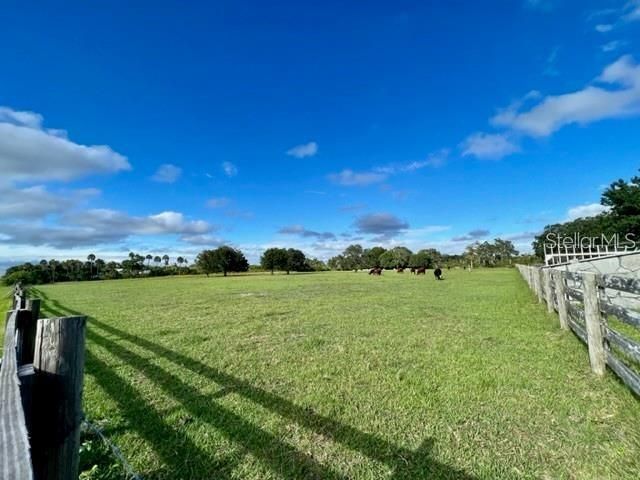 7000 Us-19 , Terra Ceia, FL 34250 Photo