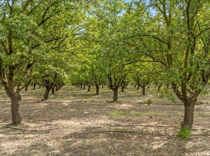 625 N Hopper Rd, Modesto, CA 95357 Photo