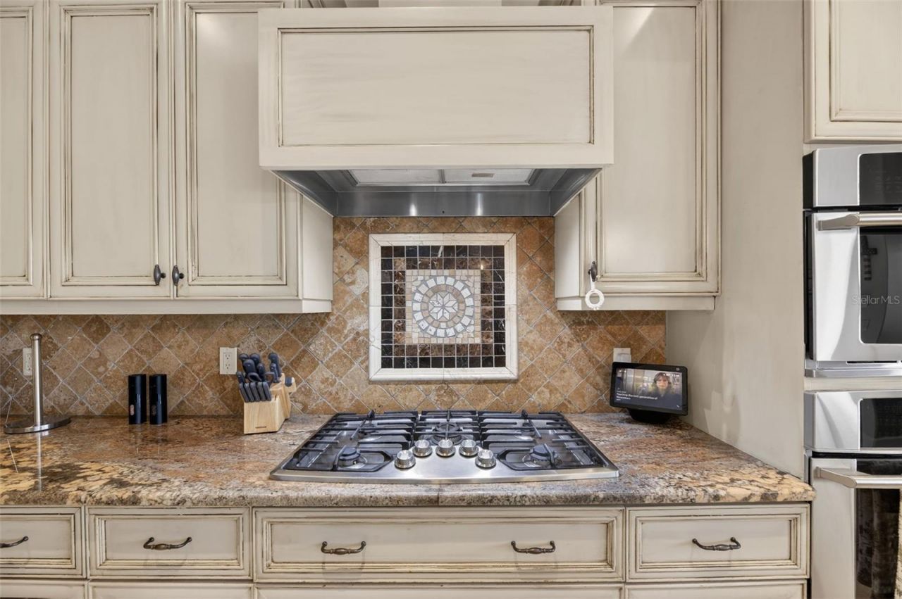 912 Symphony Beach Lane, Apollo Beach, FL 33572 Photo