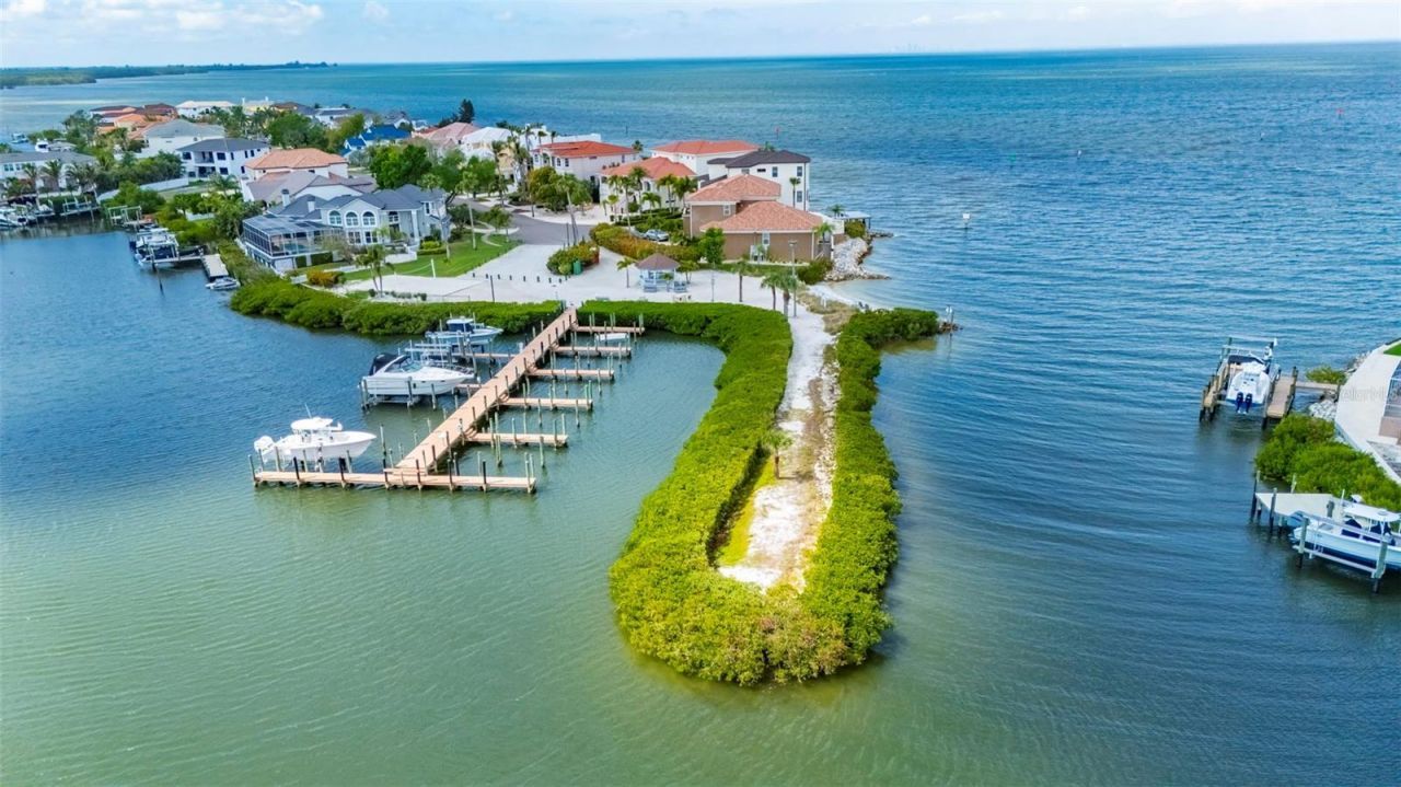 912 Symphony Beach Lane, Apollo Beach, FL 33572 Photo