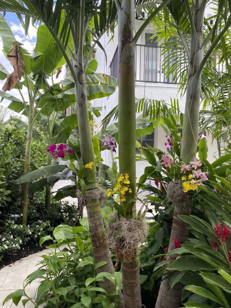 634 SE 3rd Avenue, Delray Beach, FL 33483 Photo