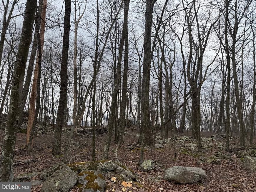 Lot 287.1 Spring Mountain Dr , Zion Grove, PA 17985 Main Photo