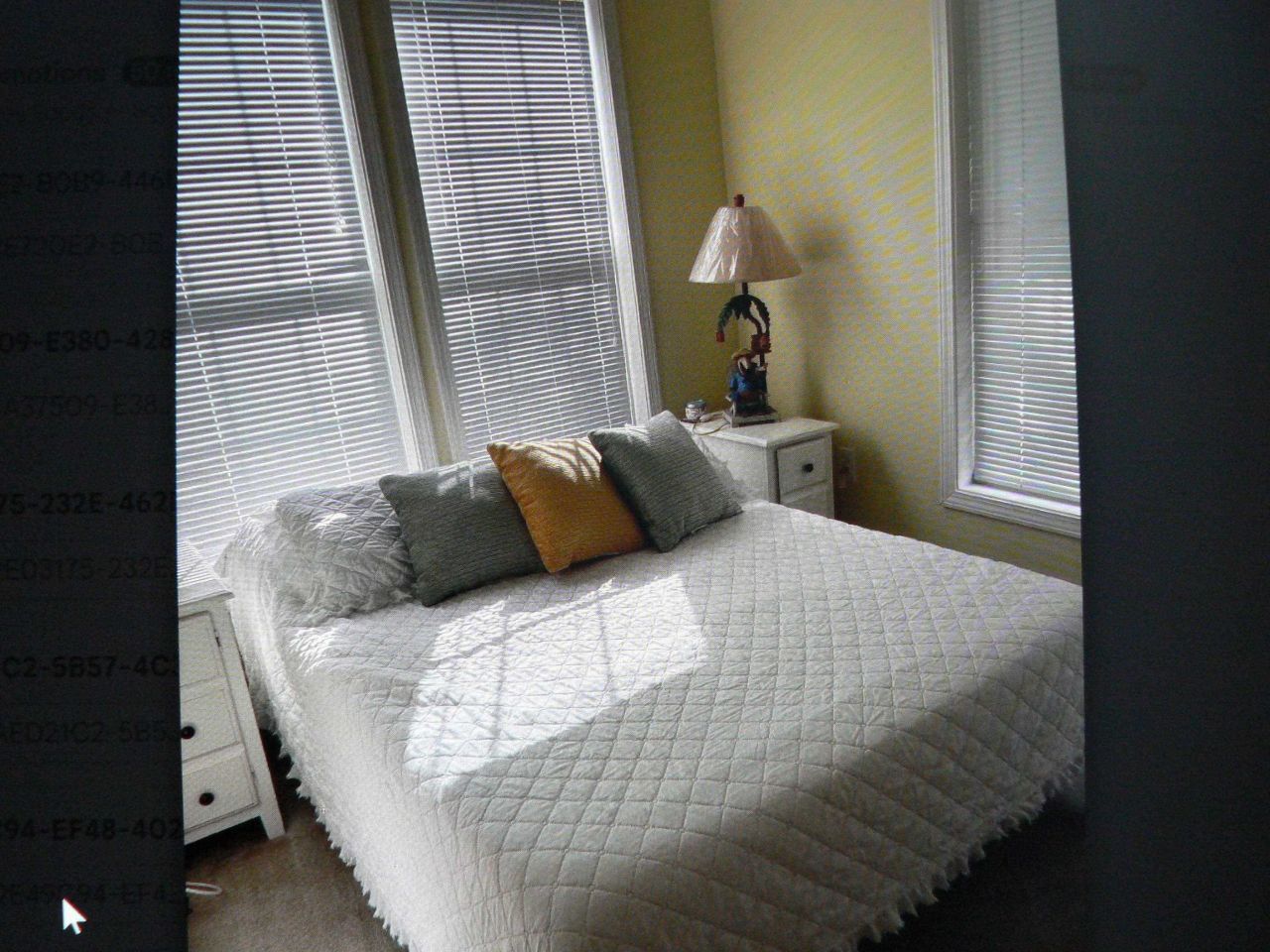 9764 Leyland Dr.  Photo 7