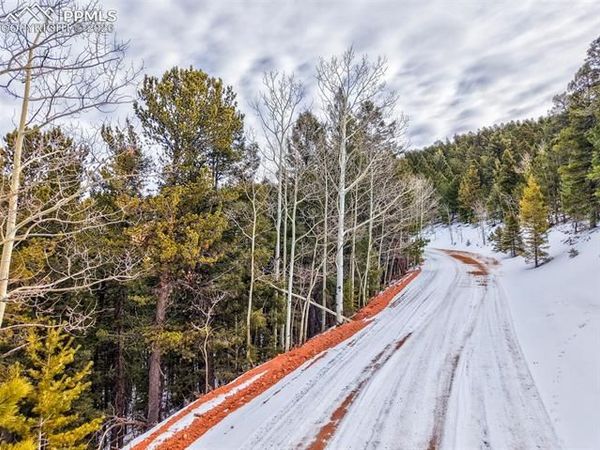 165 Witherite Drive, Divide, CO 80814