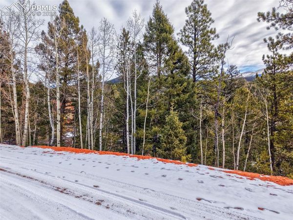 1181 Calcite Drive, Divide, CO 80814