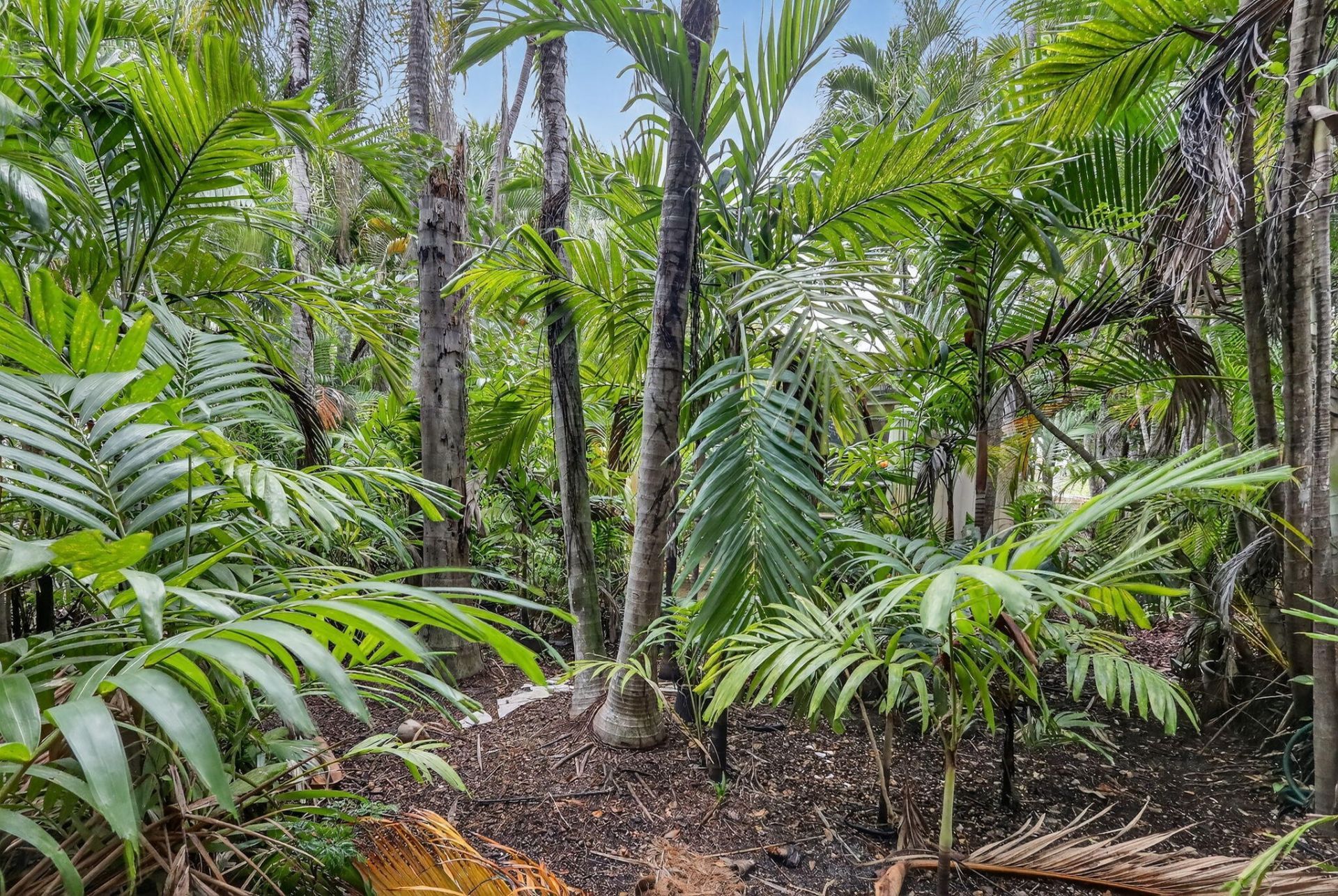 1201 NE 179th Street, North Miami Beach, FL 33162 Photo