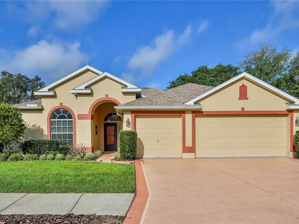 431 QUANE AVENUE , SPRING HILL, FL 34609