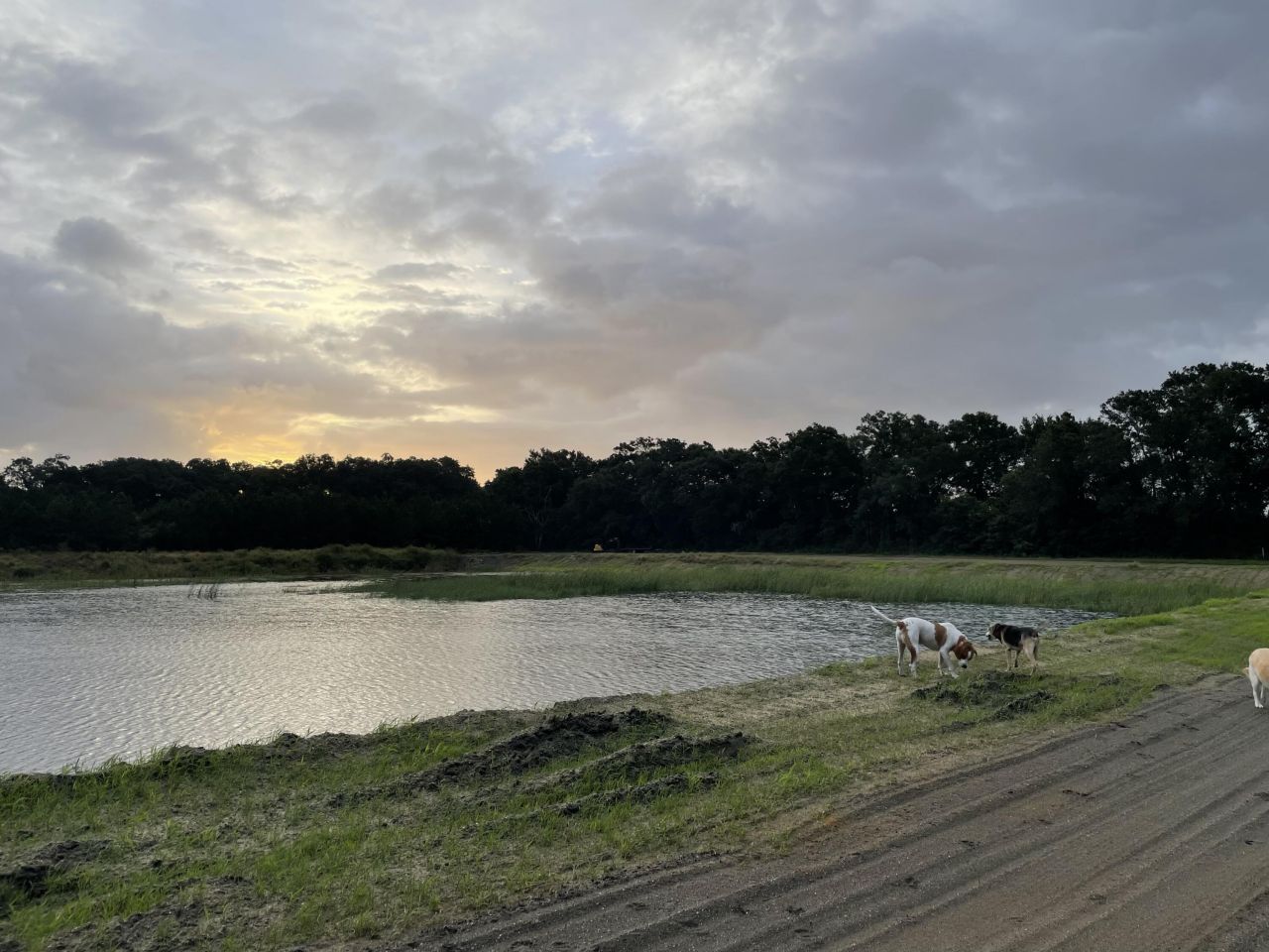 3170 Contentment Hall Road Photo 1