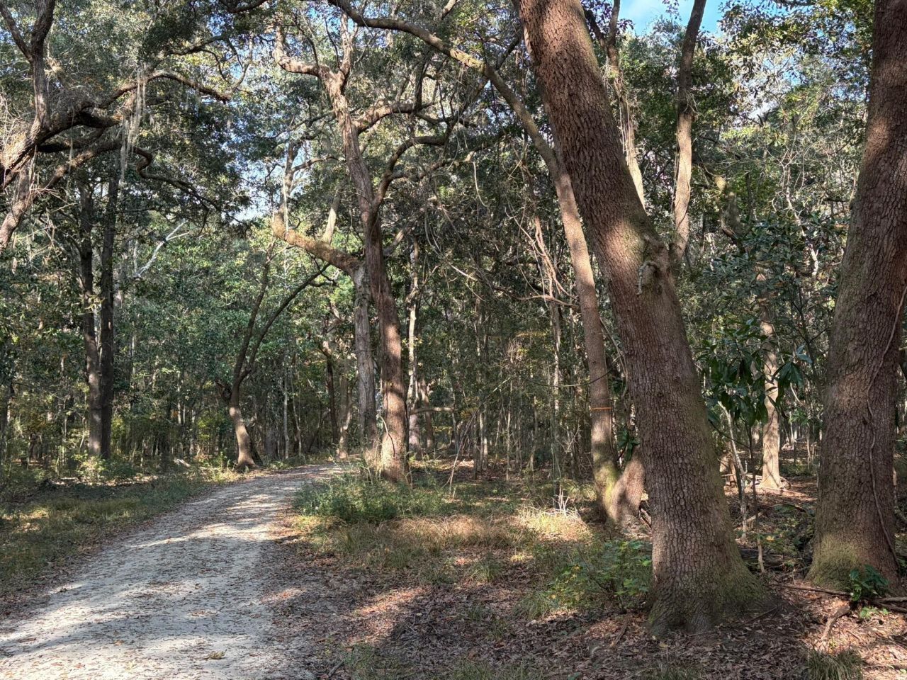 3170 Contentment Hall Road Photo 10