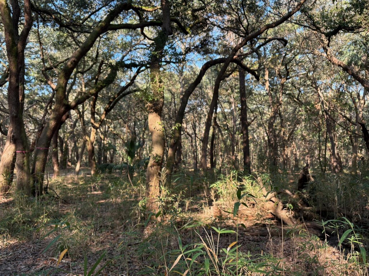 3170 Contentment Hall Road Photo 11