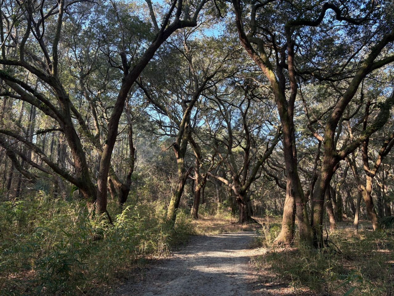 3170 Contentment Hall Road Photo 12