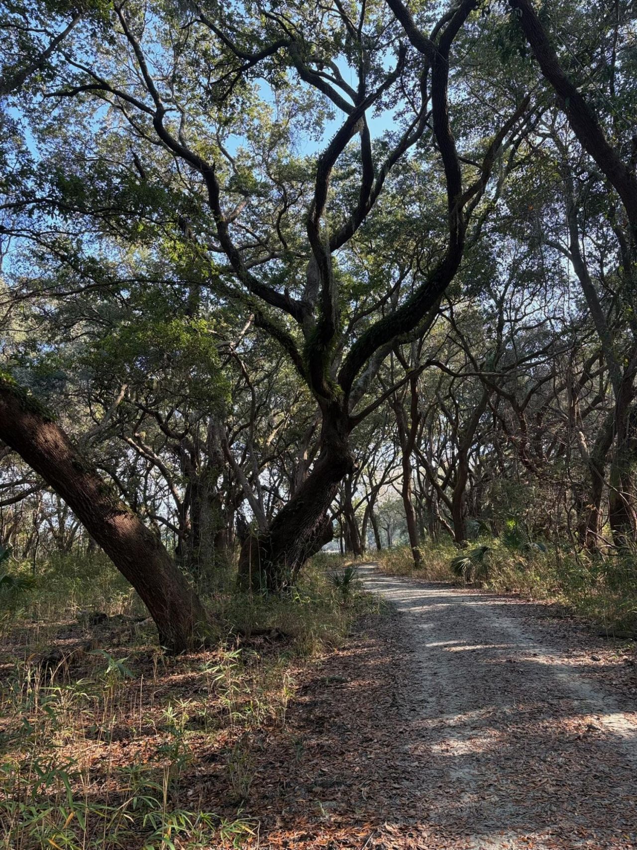 3170 Contentment Hall Road Photo 13