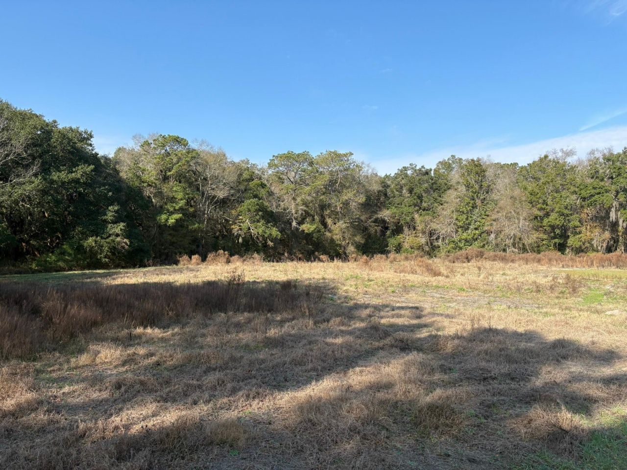 3170 Contentment Hall Road Photo 14