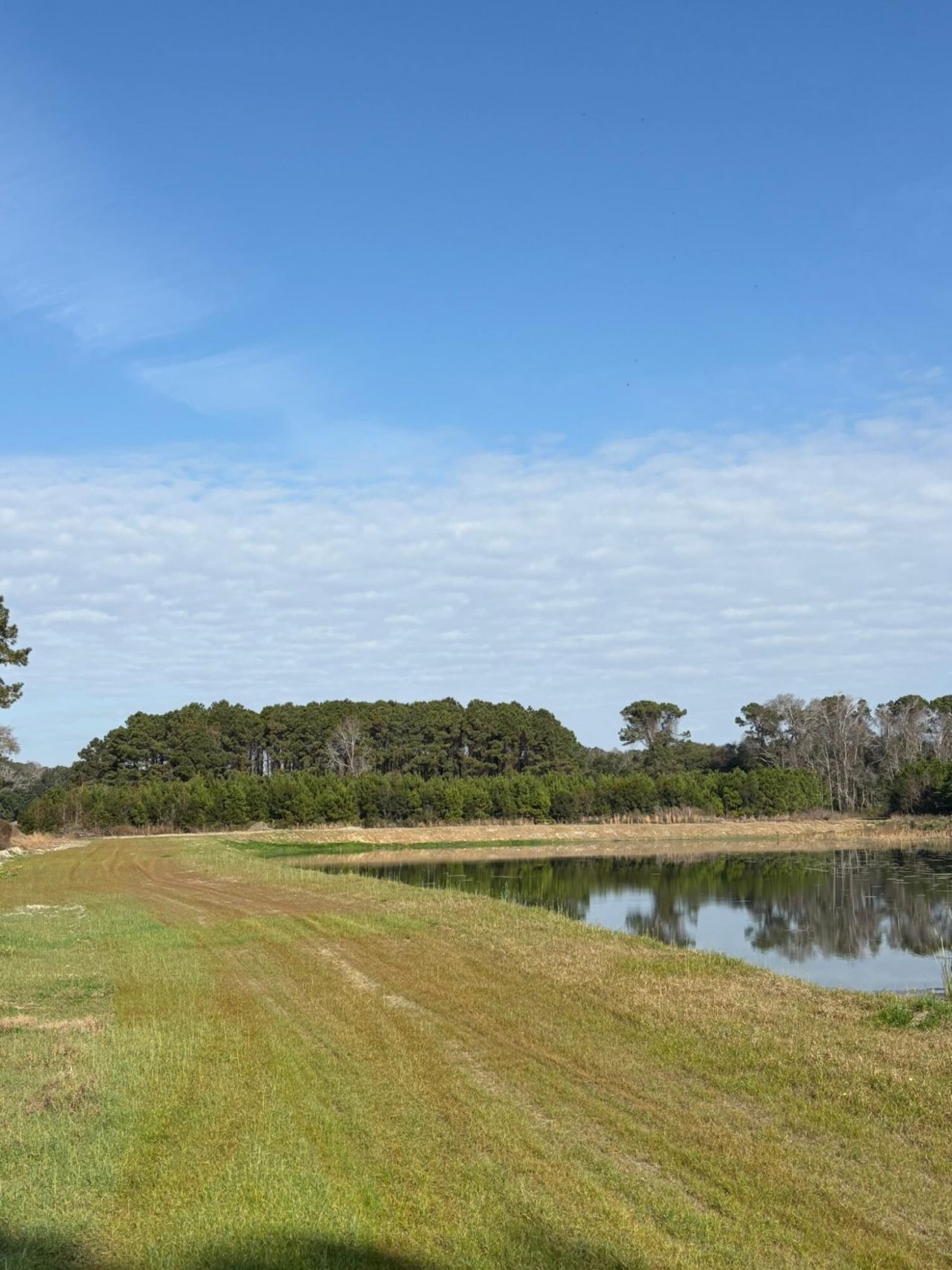 3170 Contentment Hall Road Photo 15