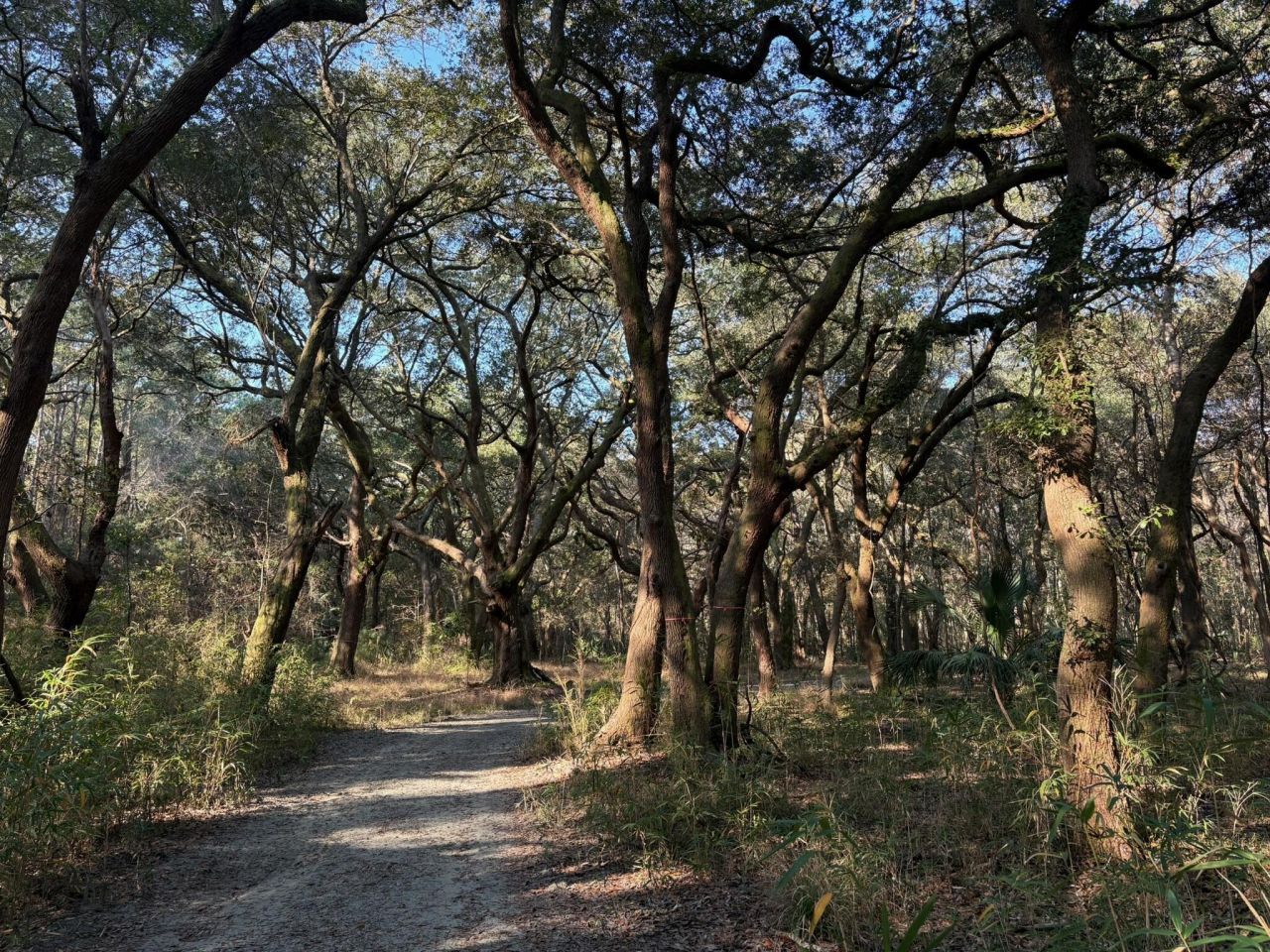 3170 Contentment Hall Road Photo 16