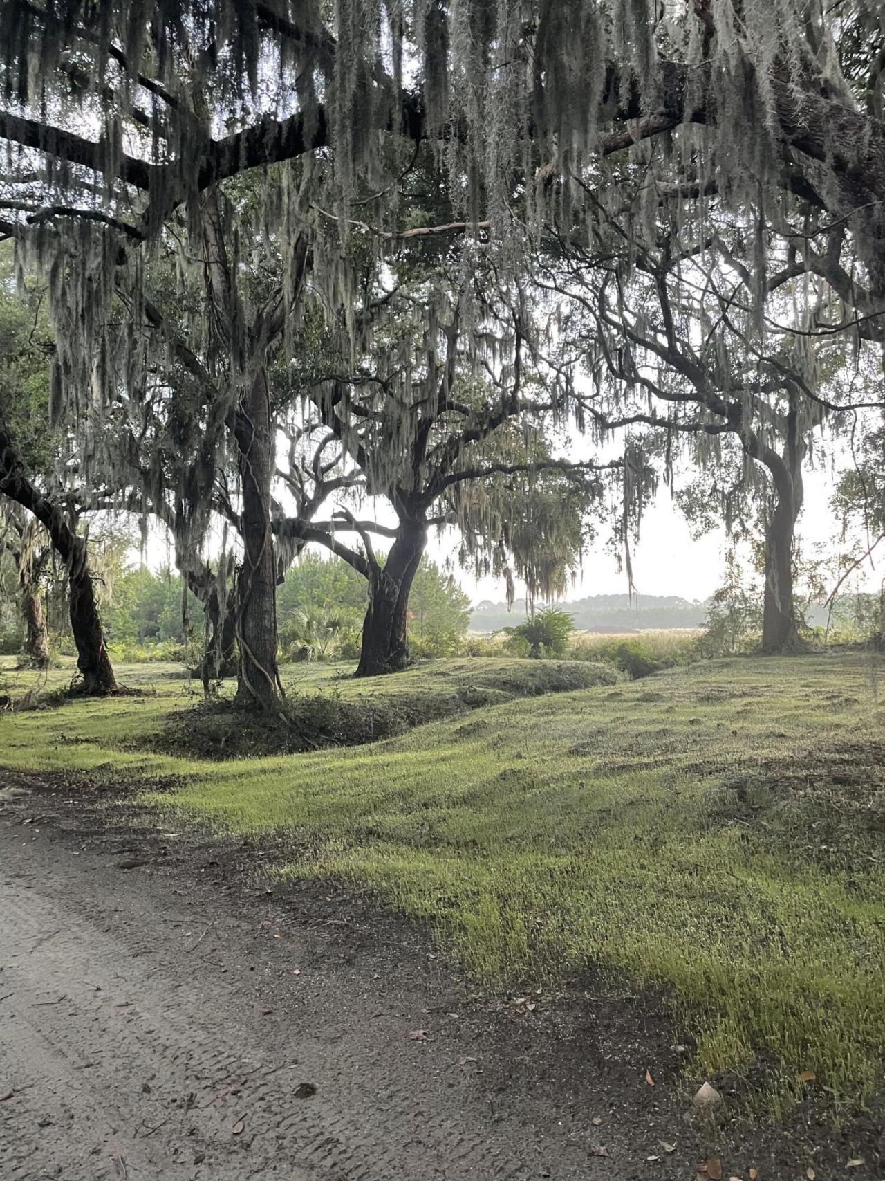 3170 Contentment Hall Road Photo 17