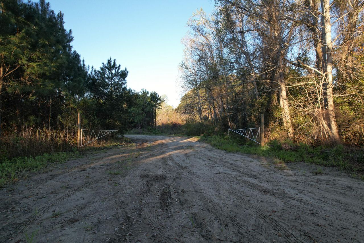 3170 Contentment Hall Road Photo 18