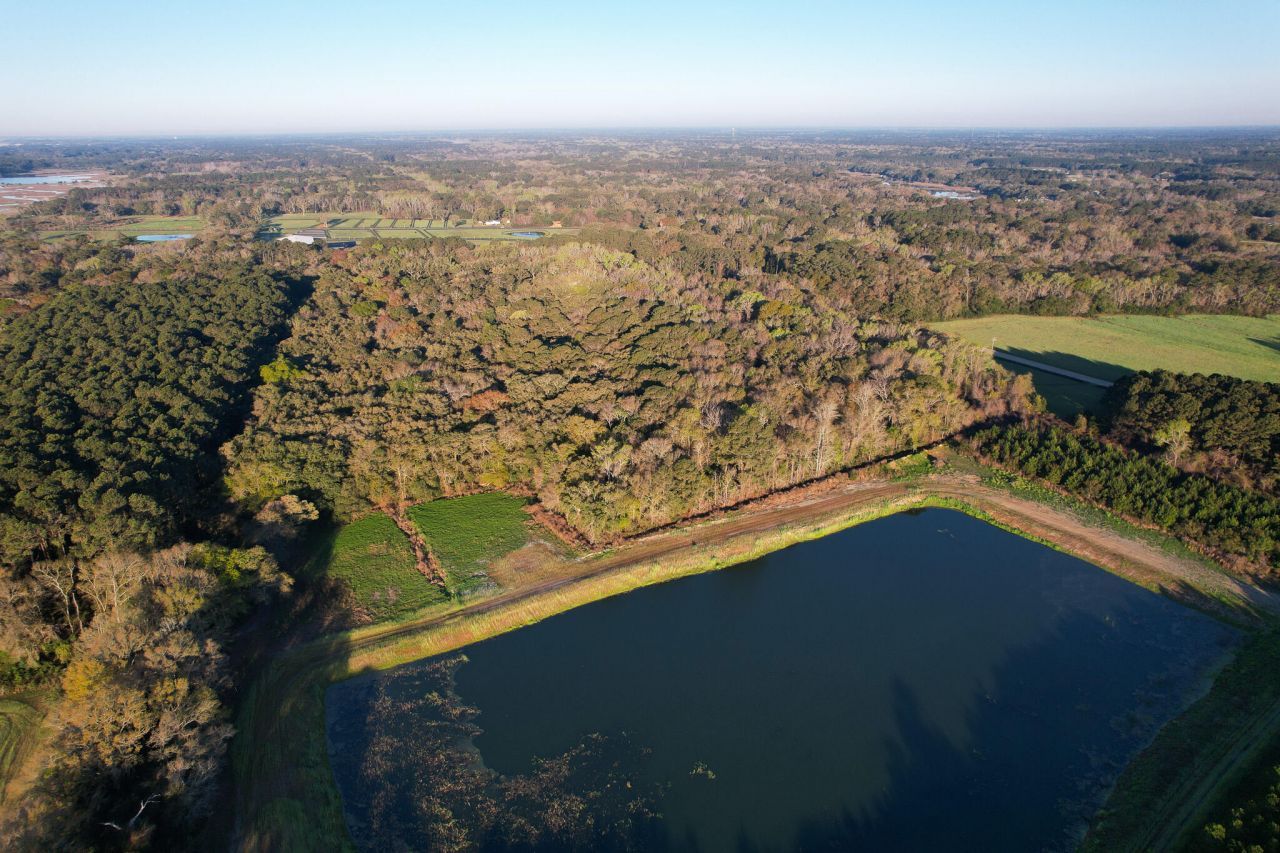 3170 Contentment Hall Road Photo 19