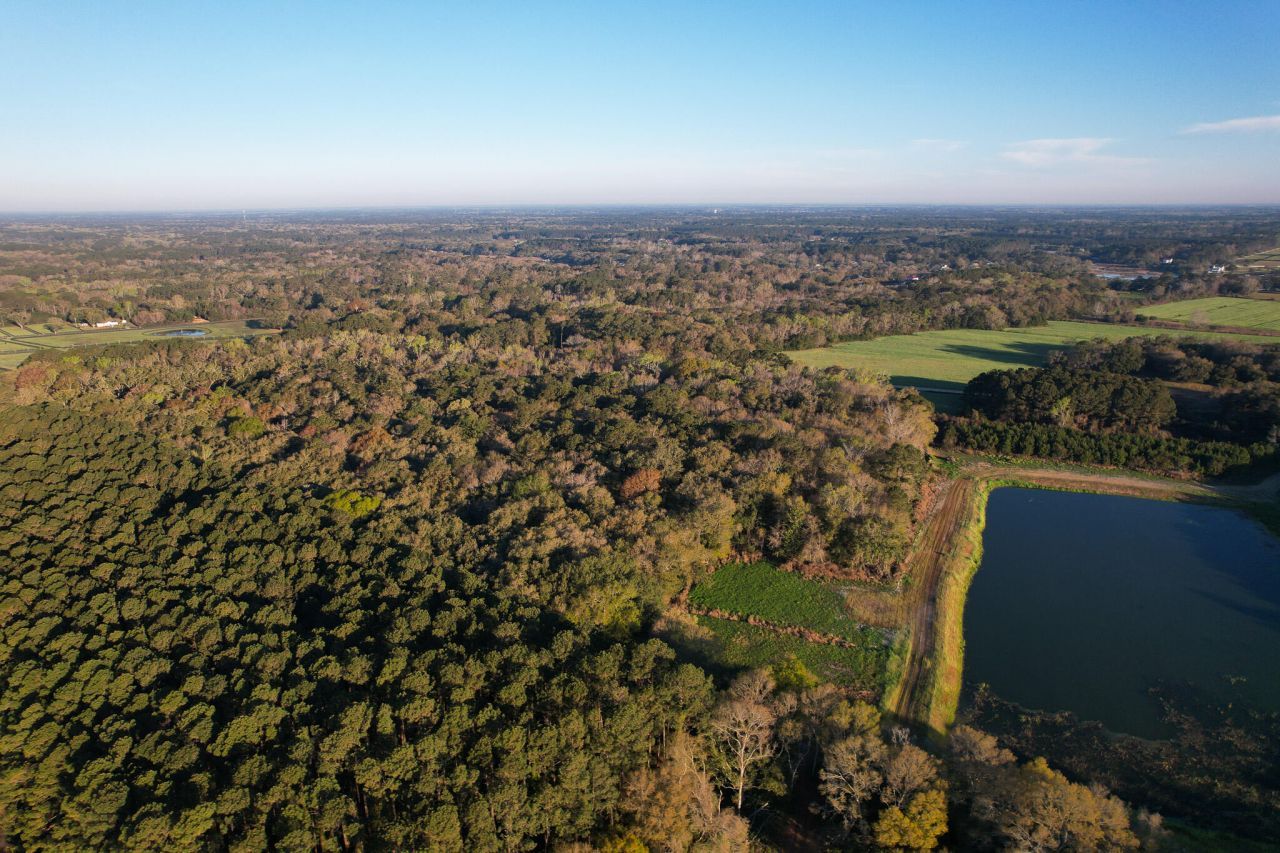 3170 Contentment Hall Road Photo 20