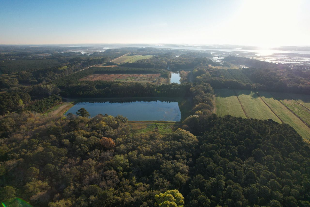 3170 Contentment Hall Road Photo 22