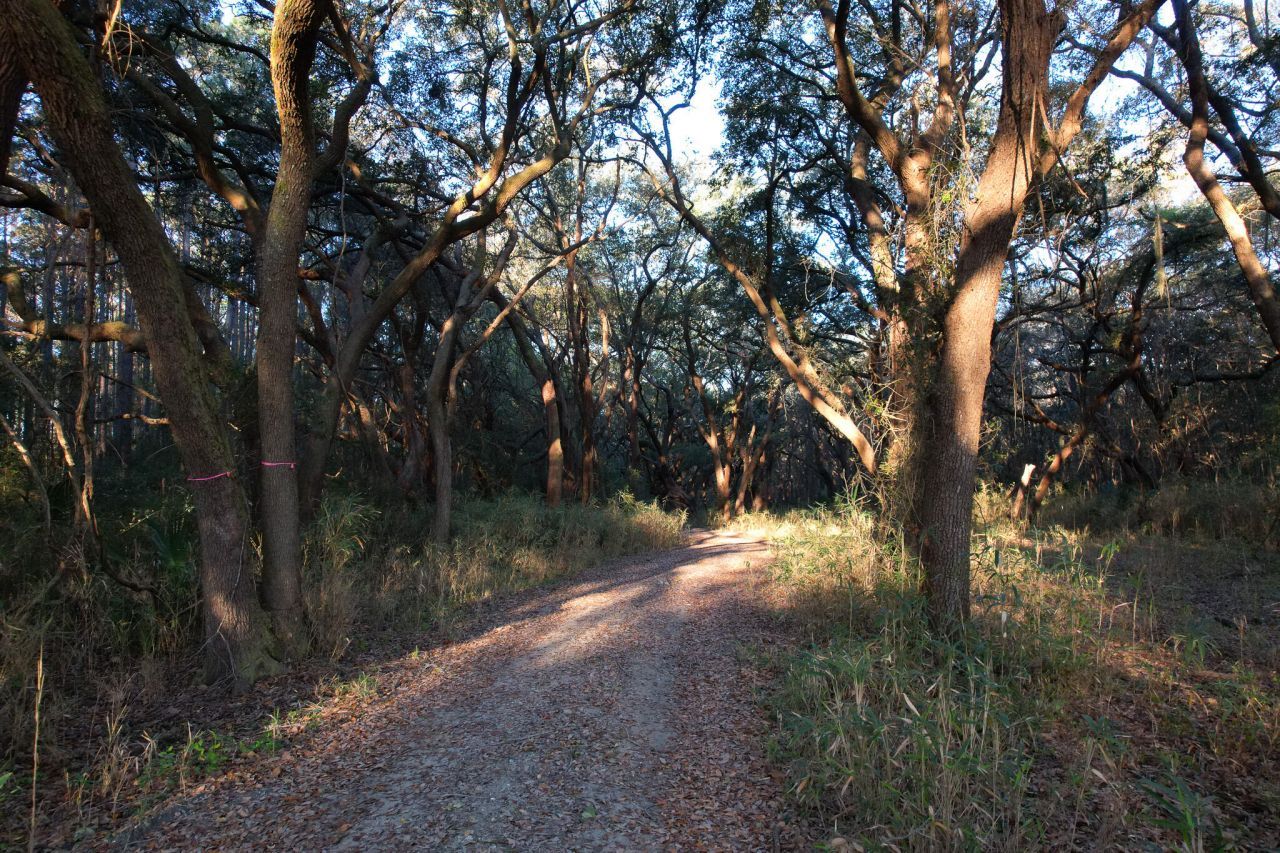 3170 Contentment Hall Road Photo 24