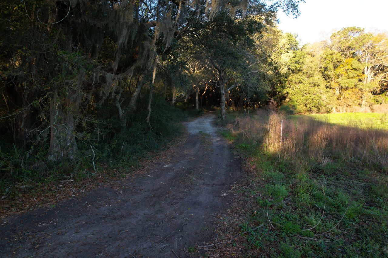 3170 Contentment Hall Road Photo 27