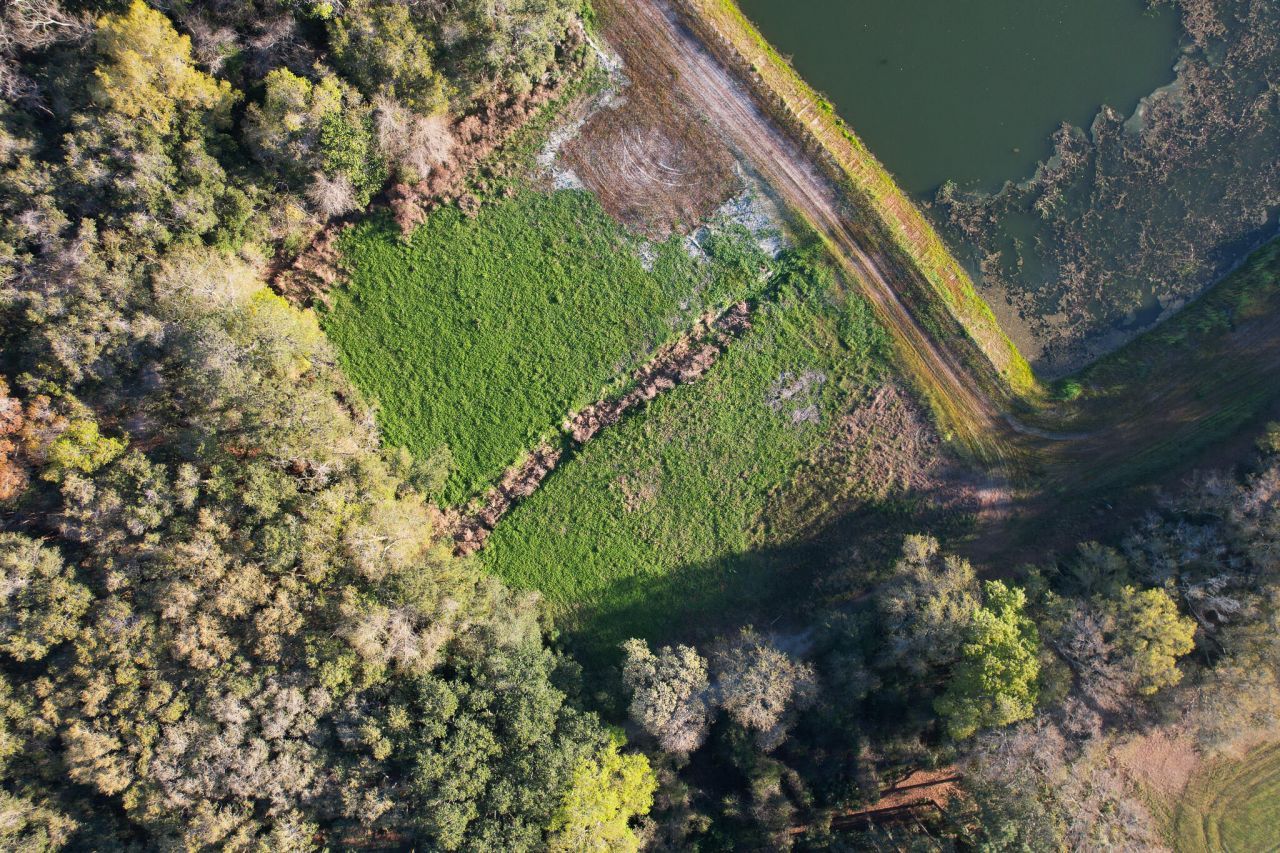 3170 Contentment Hall Road Photo 32