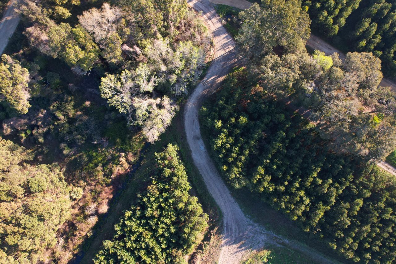 3170 Contentment Hall Road Photo 34