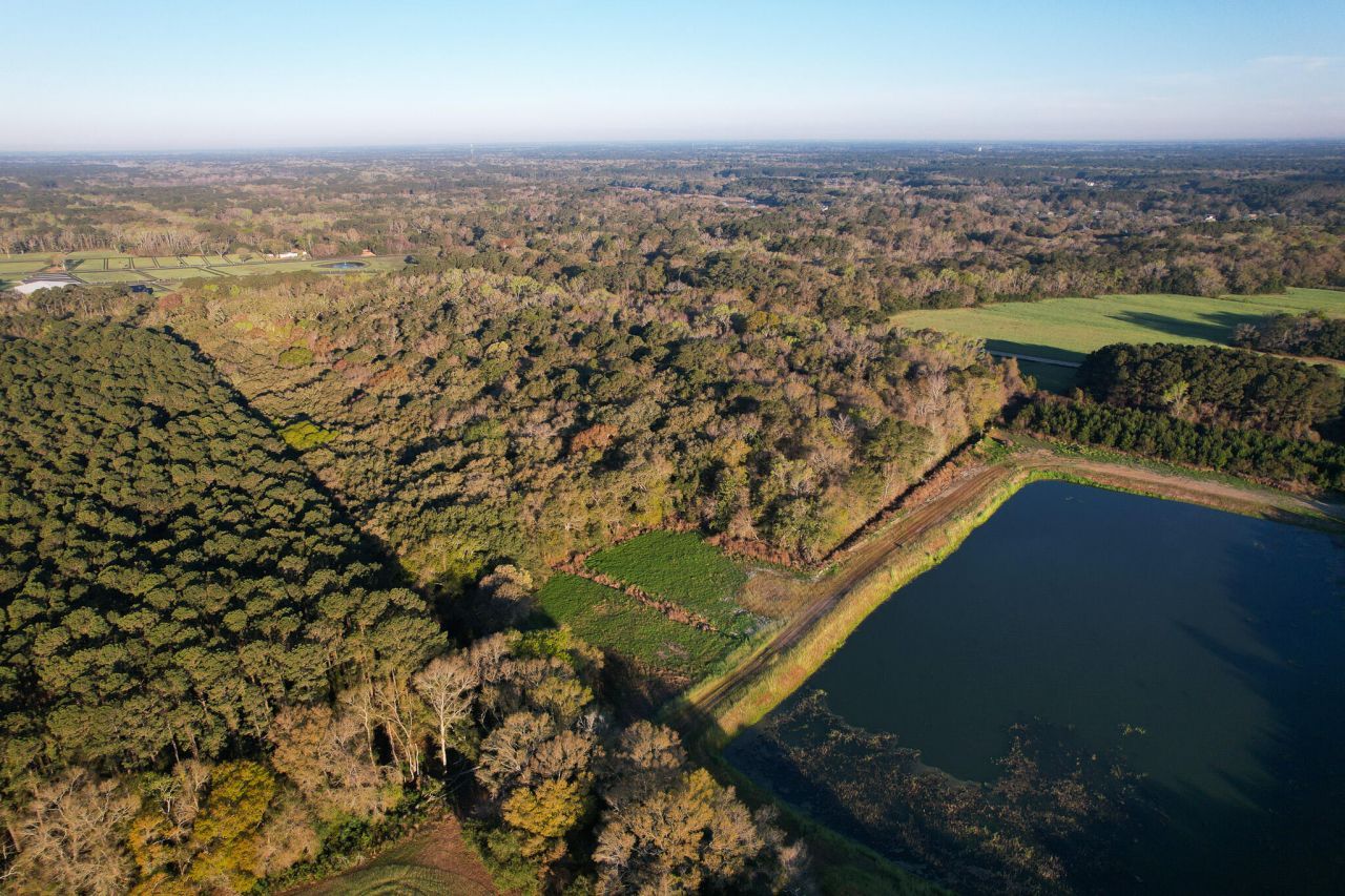 3170 Contentment Hall Road Photo 4