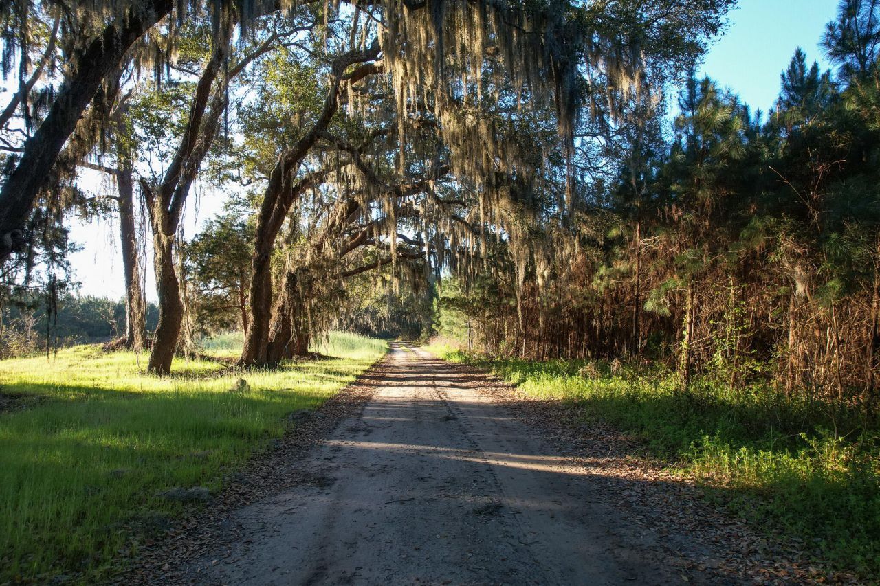 3170 Contentment Hall Road Photo 7