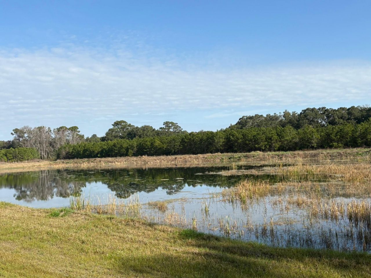 3170 Contentment Hall Road Photo 8