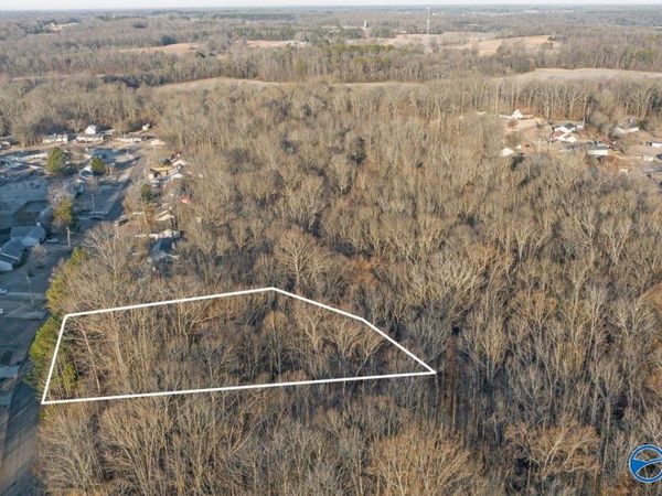 351 Buffalo Creek Drive, Toney, AL 35773