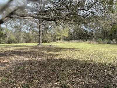 140 Bowers Lane Photo 6