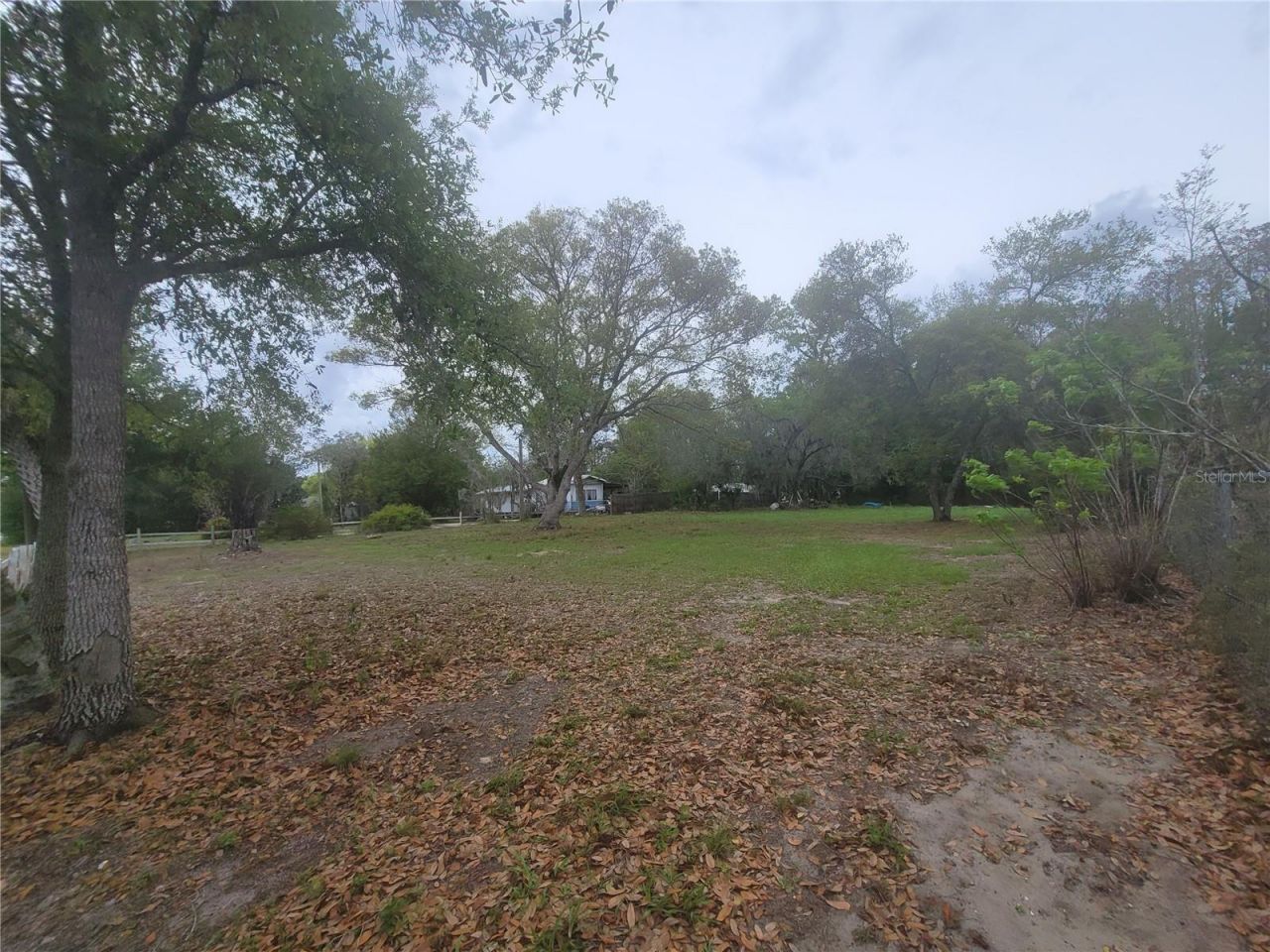 11641 Bruin Drive, New Port Richey, FL 34654 Photo