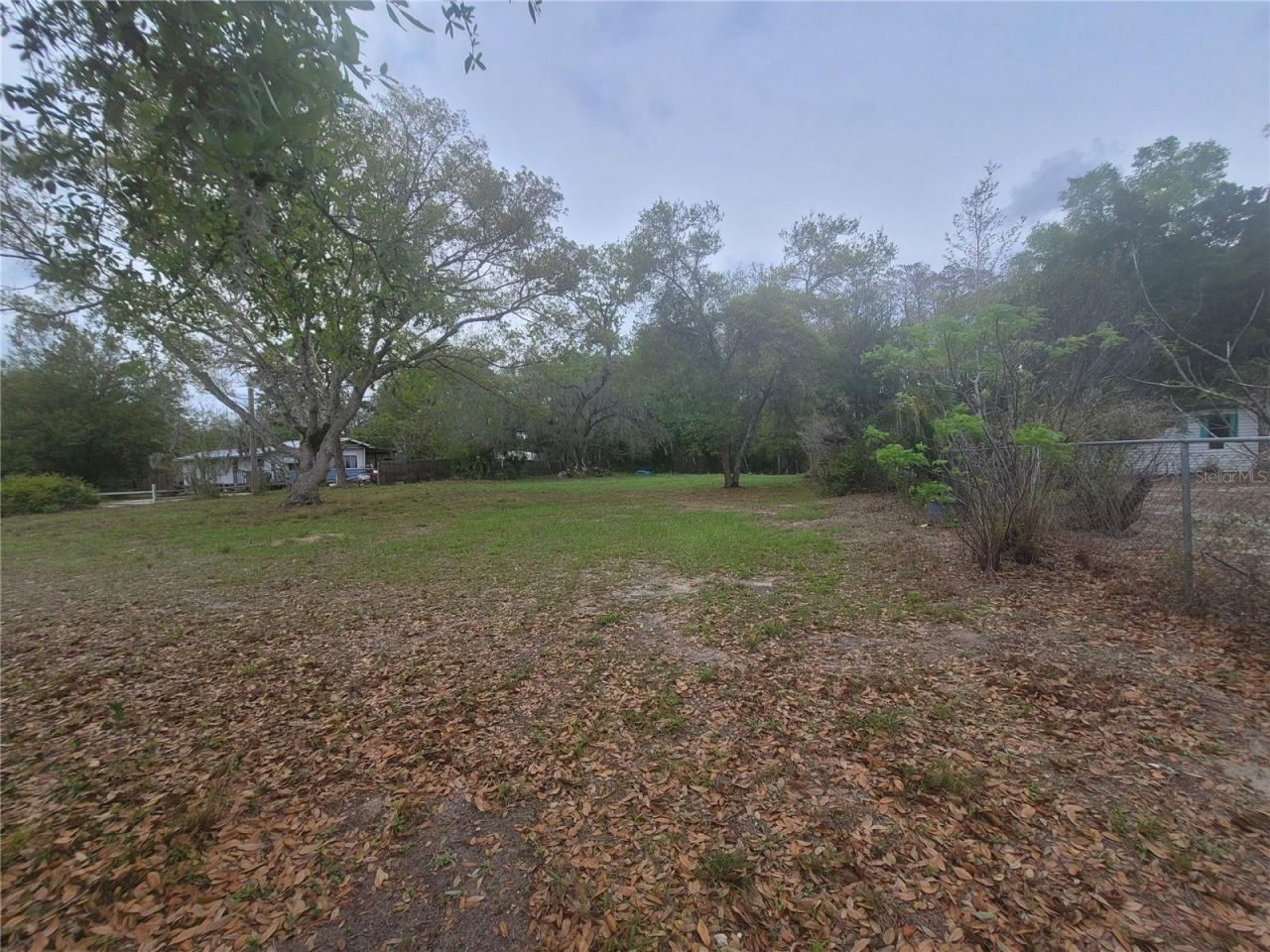 11641 Bruin Drive, New Port Richey, FL 34654 Photo