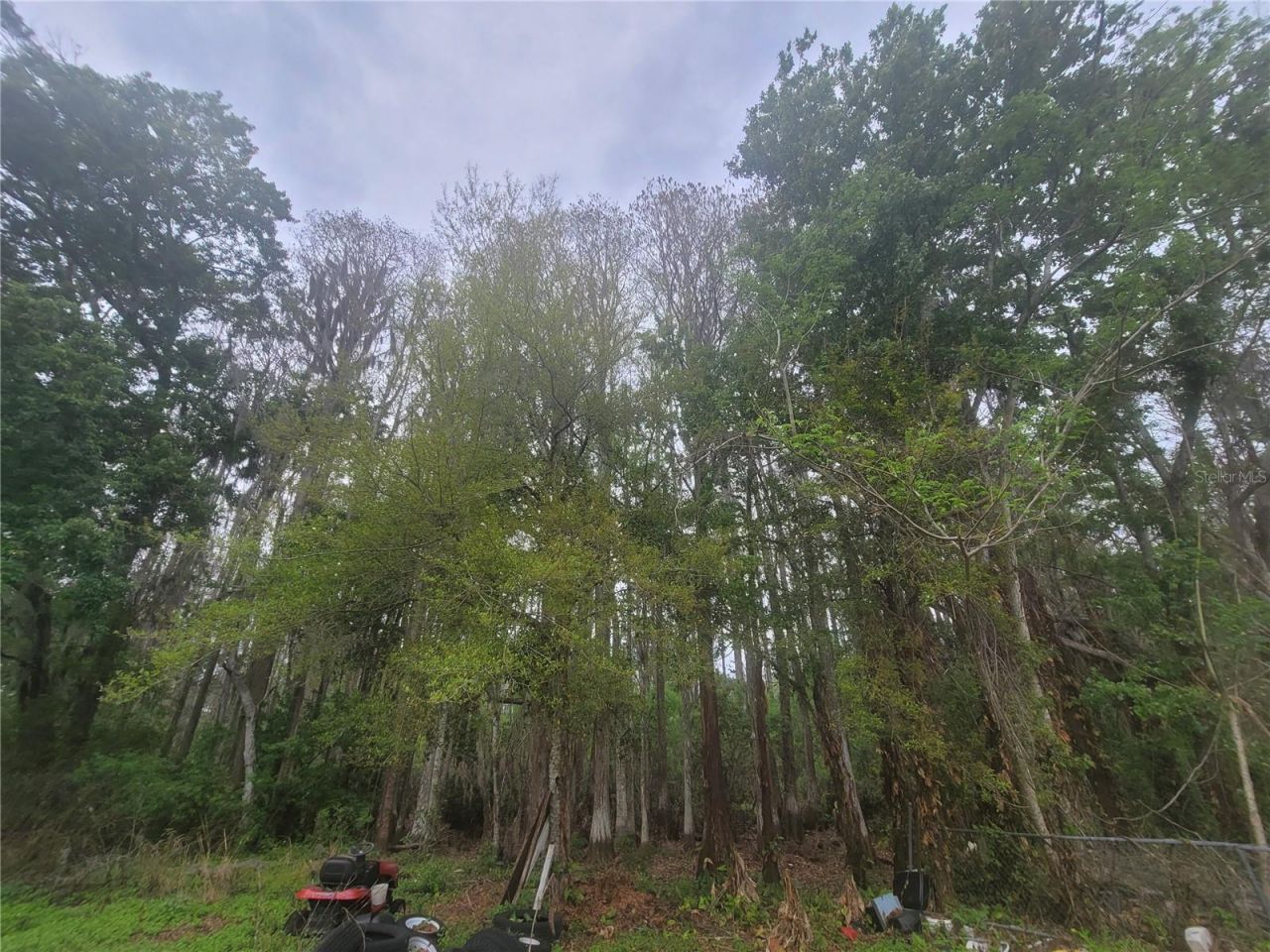 11641 Bruin Drive, New Port Richey, FL 34654 Photo