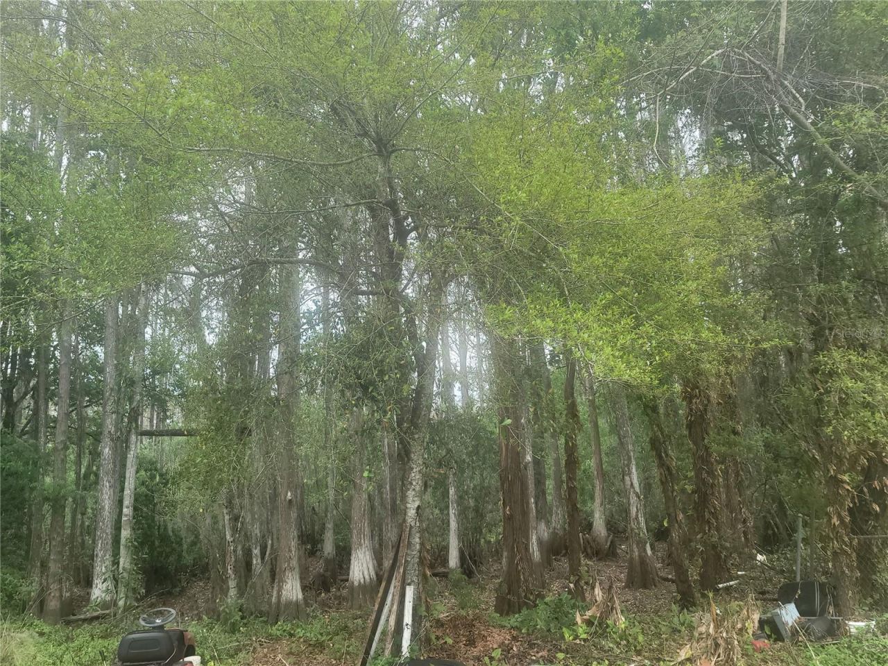 11641 Bruin Drive, New Port Richey, FL 34654 Photo