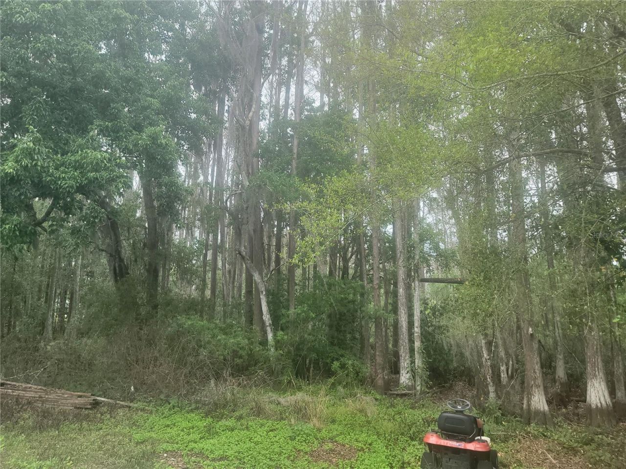 11641 Bruin Drive, New Port Richey, FL 34654 Photo