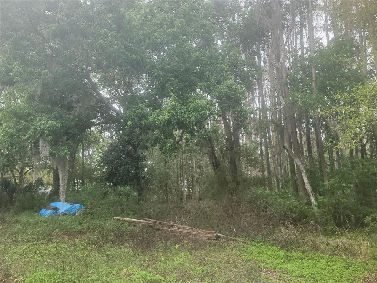 11641 Bruin Drive, New Port Richey, FL 34654 Photo