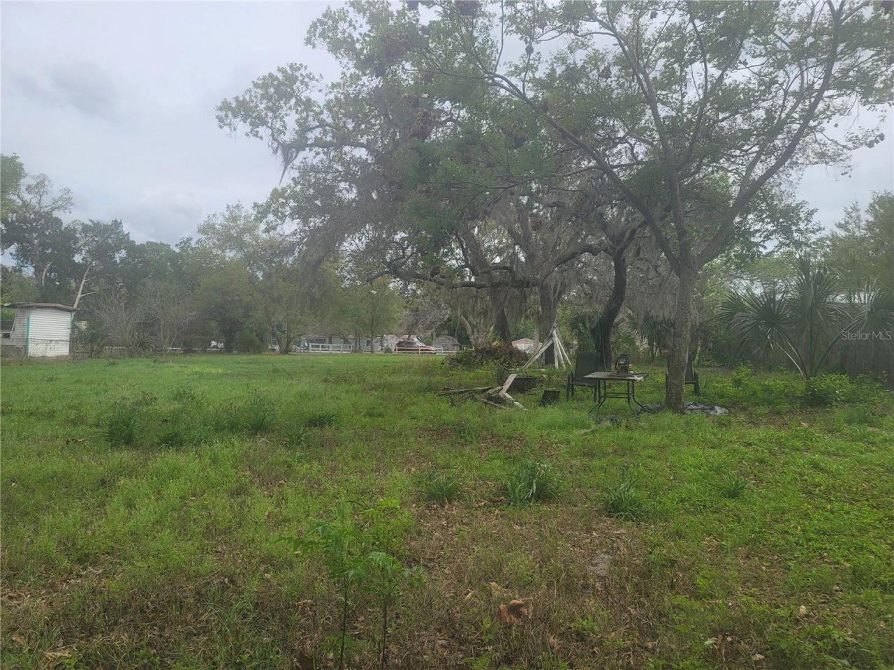 11641 Bruin Drive, New Port Richey, FL 34654 Photo